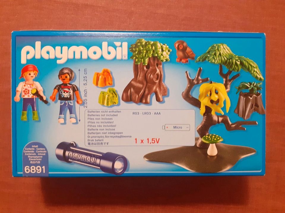 Playmobil Summer-Fun Nachtwanderung (6891) in Neubeuern
