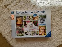 Puzzle 500Teile/Kätzchen im Körbchen Bayern - Miltenberg Vorschau