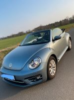 VW Beetle 1.2TSI/Gepflegt/Wenig KM Niedersachsen - Ostercappeln Vorschau