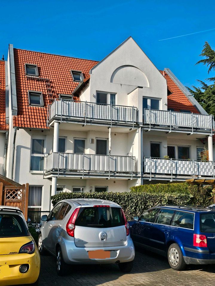 Bodenheim 2 Zimmer Wohnung mit Terrasse und Garten u. Stellplatz in Bodenheim