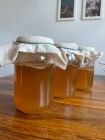 Scoby Kombucha Teepilz Kr. München - Ottobrunn Vorschau