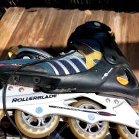 Rollerblade Evo 09, Gr. 45, Tasche, guter Zustand Leipzig - Gohlis-Nord Vorschau