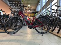 E-Bike, EBike, Morrison, E 6.0 Trapez, S 45 (Trapez) Hessen - Weilburg Vorschau