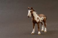 Schleich Appaloosa Fohlen Pferd, Bauernhof Pferde 2012 Bayern - Bad Tölz Vorschau