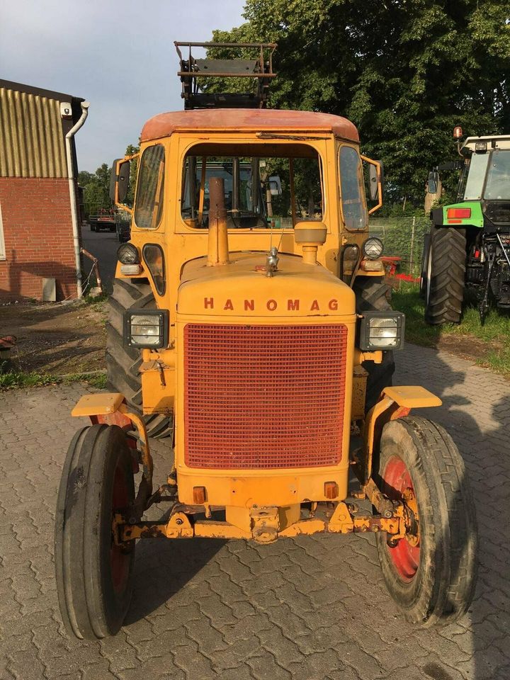 Hanomag Robust 800 in Hamersen