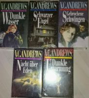 Casteel Saga 1 2 3 4 5  V C. Andrews komplett Hardcover NEU Folie Bayern - Eckersdorf Vorschau