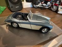 Modellauto Austin Healey 1956 Cabrio Roadster 1:18 ERTL Rheinland-Pfalz - Lingenfeld Vorschau