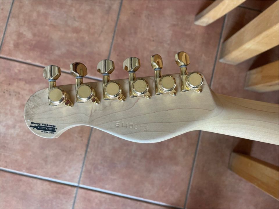 Gilmour Strat HSS, gold Hardware, Trem in Landau in der Pfalz