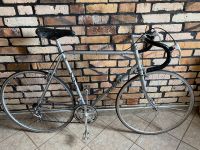 Vintage Rennrad Nishiki Trim Ace Shimano 600 Retro Fahrrad 80s Brandenburg - Lauchhammer Vorschau