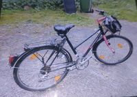 Verkaufe 1 Damenfahrrad Pink/Schwarz 28 Zoll Hessen - Gemünden (Wohra) Vorschau