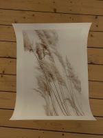 Desenio Sunny Reeds, 50x70cm Hannover - Vahrenwald-List Vorschau