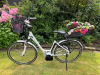 E-Bike Hercules weiß - 250W, 36V Bosch - Rahmen Höhe 46 - Sehr gu Niedersachsen - Ganderkesee Vorschau