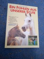 Pferdebuch: Ein Fohlen aus unserer Stute - neu Niedersachsen - Langelsheim Vorschau