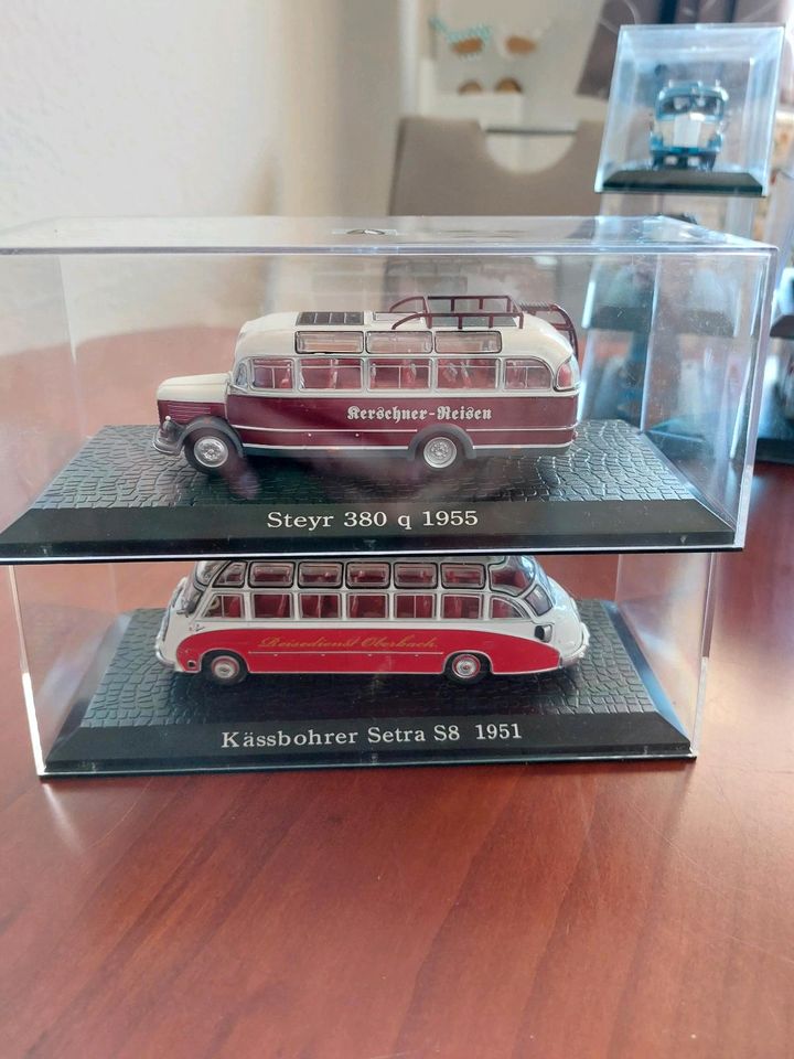 Modellbusse in Weißwasser