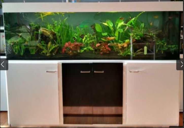 Aquarium mit ALLEM 720 Liter 200x60x60 Rechnungen + Zubehör vorh. in Erfurt