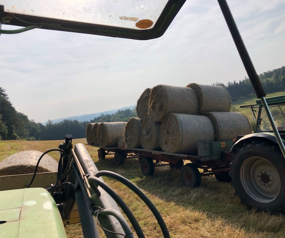 Pferdeheu, Heuballen, Rundballen, Bio Heu in Diemelsee