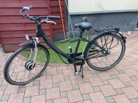 Damen E-Bike Elektrofahrrad Jersey Vermont - für Bastler Rheinland-Pfalz - Neuburg am Rhein Vorschau