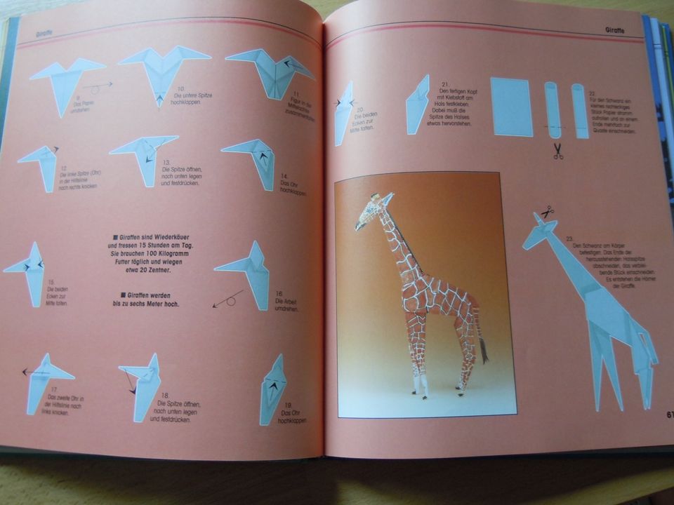 Origami Tierwelt Bastelbuch in Eitorf