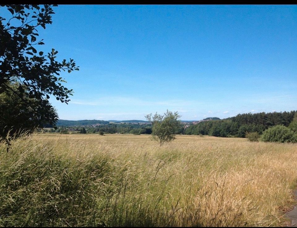 Suchen Wiese/Weide/ Grünland / Garten zu kaufen‼️ in Gießen