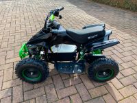 LIEFERBAR Python 1000W Elektro Kinderquad Mini E Quad Kinder Hamburg-Mitte - Hamburg Altstadt Vorschau