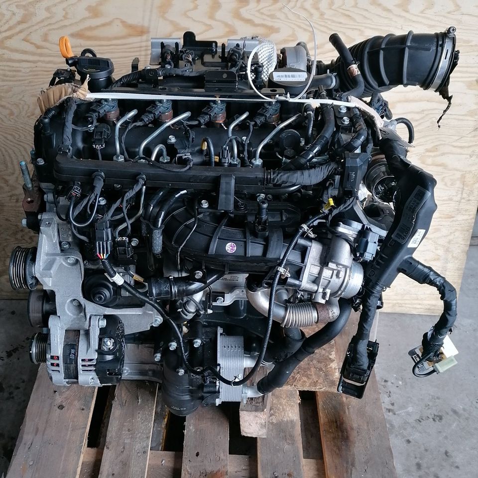 Motor Komplett D4HB 2.2 CRDI KIA SPORTAGE 48 TKM 197PS bj2019 in Küstriner Vorland