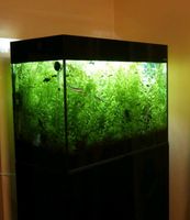 Aquarium 125L Aquael glossy schwarz glas Nordrhein-Westfalen - Arnsberg Vorschau