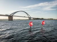 Wing Surfkurse auf Fehmarn! Wingfoilen lernen Wingsurfen Foil Kreis Ostholstein - Fehmarn Vorschau