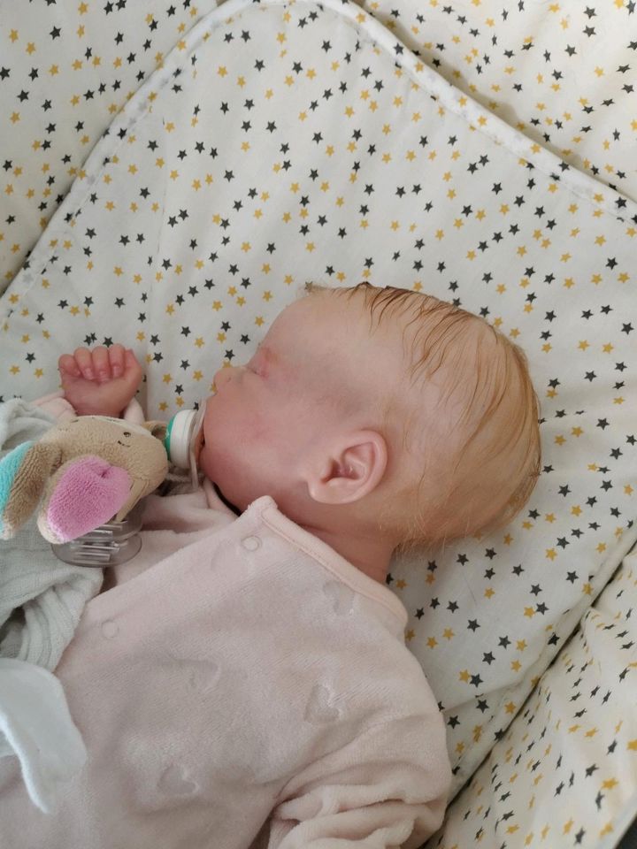 Reborn Baby Babywerke Charlotte mit viel Zubehör in Euskirchen