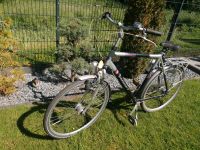 Zu verkaufen Herren Fahrrad 28 Target. Niedersachsen - Nordhorn Vorschau