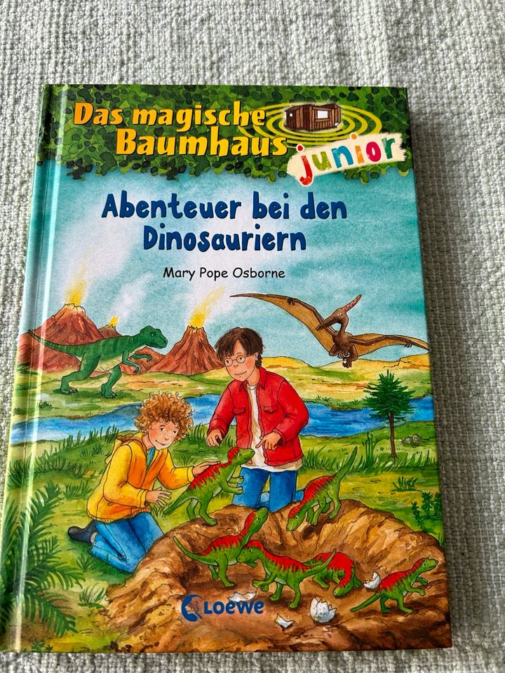 8 Kinderbücher Magisches Baumhaus in Mainz