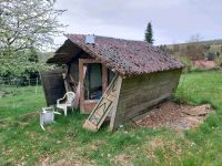 Gartenhütte zu verschenken Niedersachsen - Delligsen Vorschau
