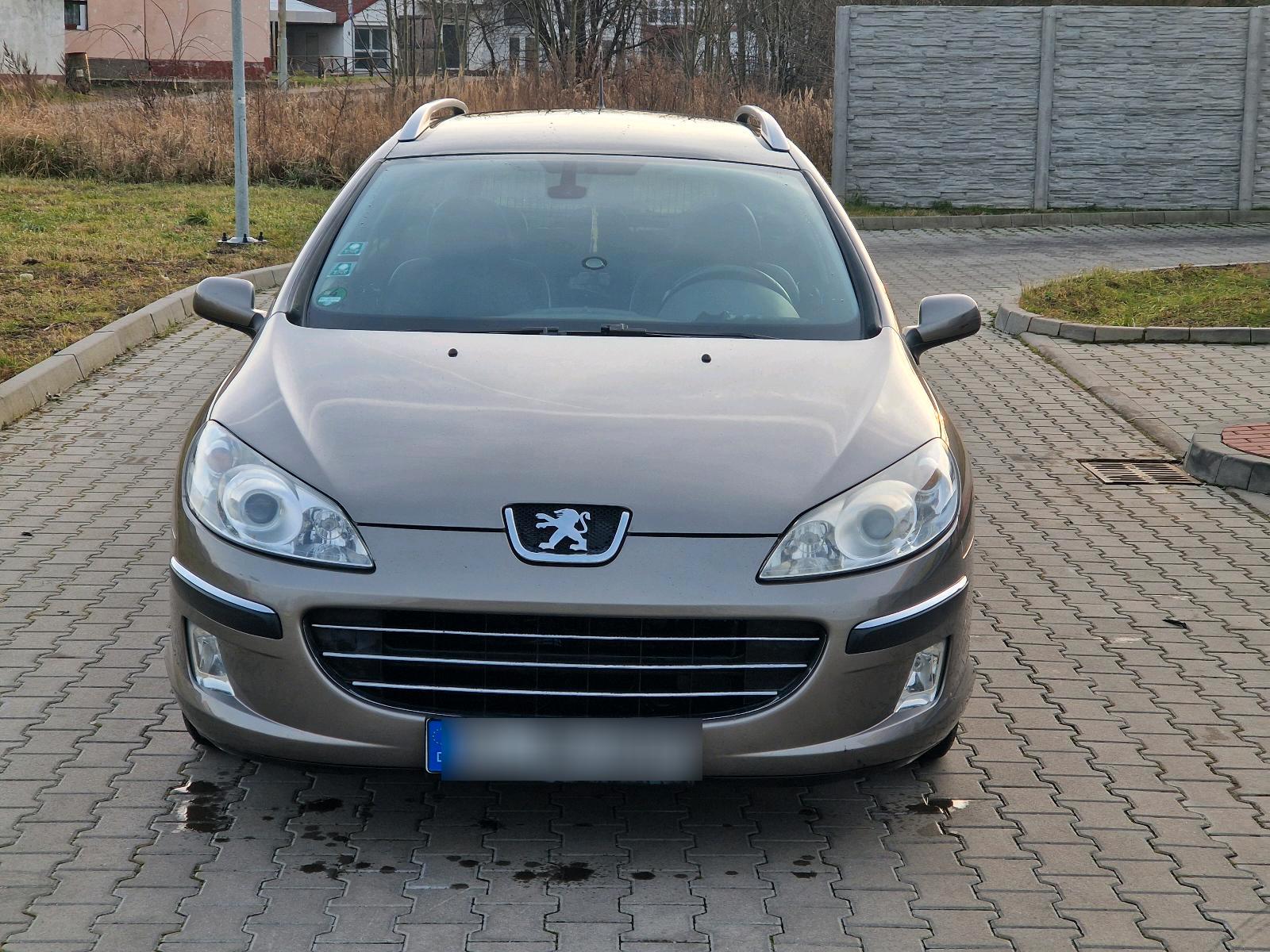 Abbildung des Autos peugeot 407 sw