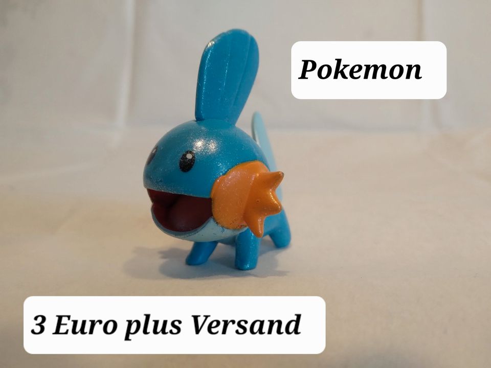 Pokemonfiguren für 3 Euro in Belm