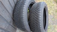 195/55 R16 M+S Goodyear Vector 4Seasons Allwetterreifen Berlin - Treptow Vorschau