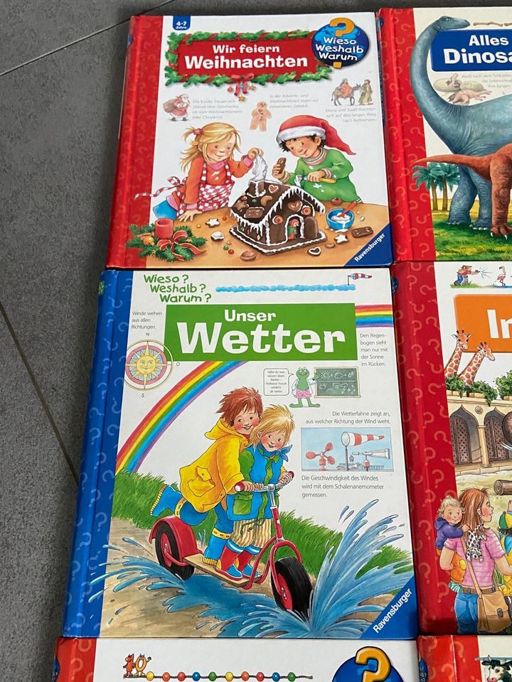 WWW Wieso Weshalb Warum Bücher *1A Zustand* in Sendenhorst