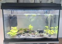 Aquarium 60 Liter mit Unterschrank von Tetra Hessen - Wehretal Vorschau