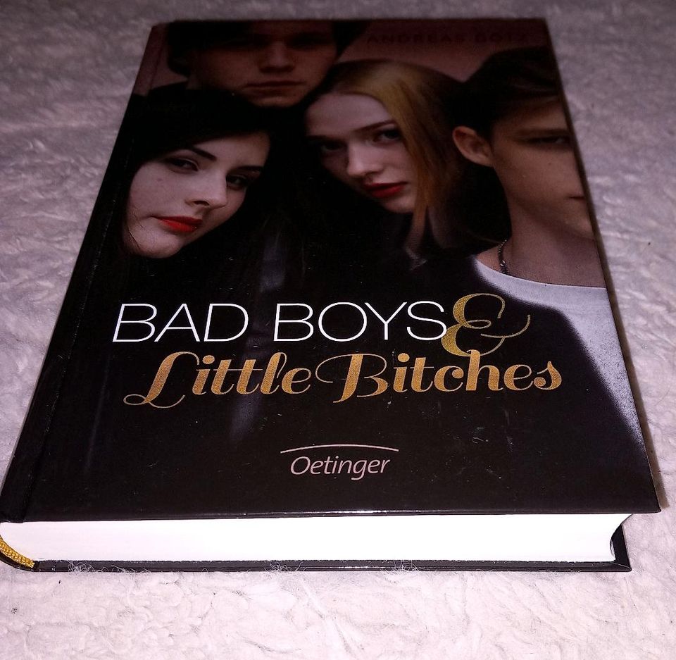 Bad Boys& Little Bitches Buch in Naila