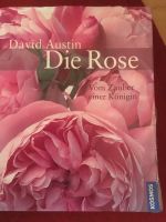 Die Rose von David Austin Bayern - Memmelsdorf Vorschau