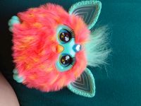 Furby bunt Nordrhein-Westfalen - Geseke Vorschau