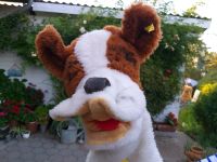 Steiff Handpuppe Hund Mimic Bernie Niedersachsen - Stadthagen Vorschau