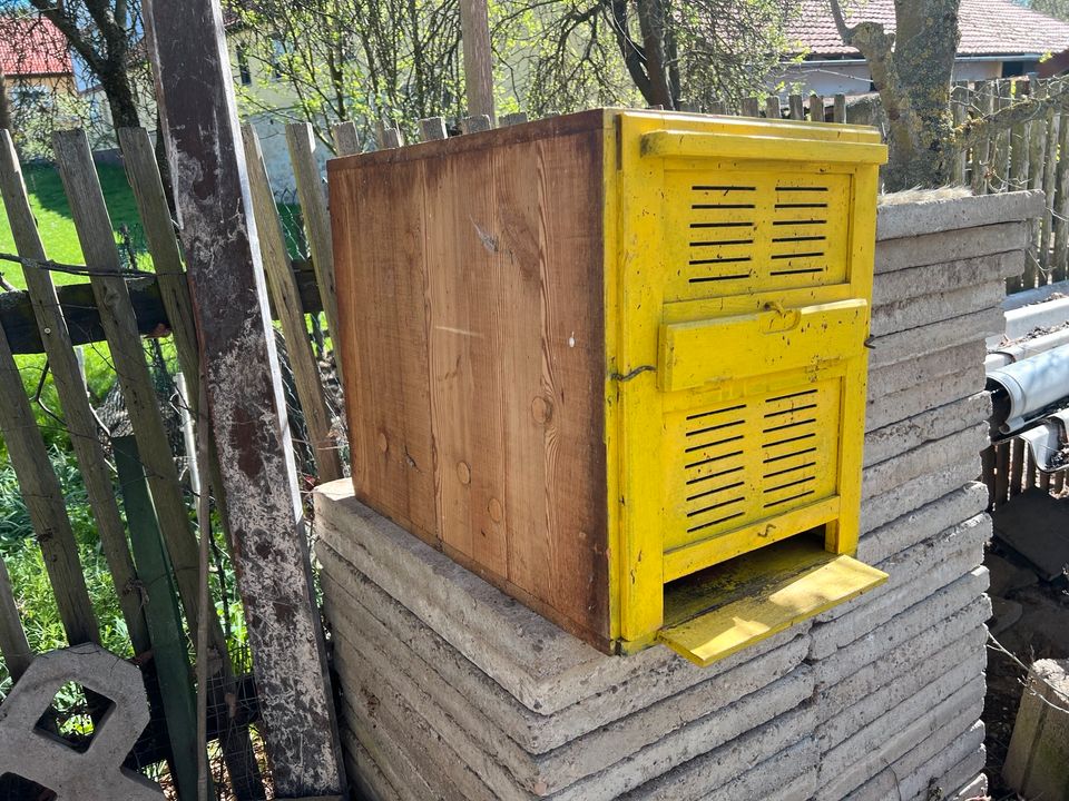 Bienenbeute(Hinterbehandlung) in Rudolstadt