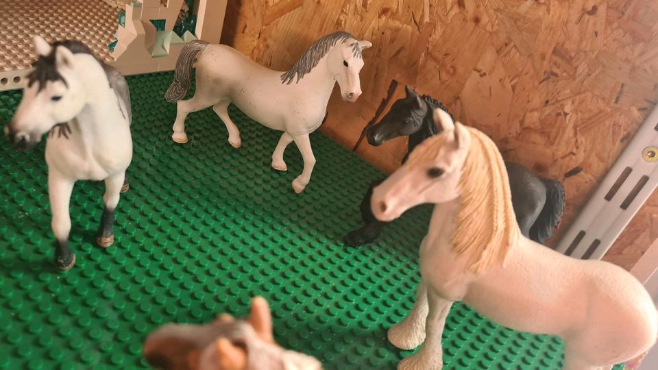 5 Schleich Pferde in Pfarrkirchen