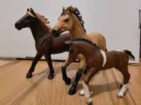 Schleich Pferde mit Fohlen Set5 Nordrhein-Westfalen - Salzkotten Vorschau