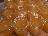 Honig von privaten Hobbyimker, Preis pro kg Brandenburg - Michendorf Vorschau