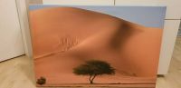 Bild Wüste, Wandbild Baum, Sahara, Wandbild Sahara Mitte - Gesundbrunnen Vorschau