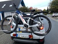 Heckständer für E-Bike Rheinland-Pfalz - Höhr-Grenzhausen Vorschau