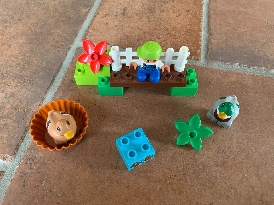Bausteine Lego Duplo Entenfütterung in Düren