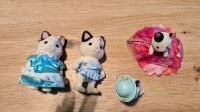 Sylvanian Families Katzen Sachsen - Oelsnitz/Erzgeb. Vorschau