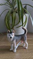 Schleich Husky Hündin 16372 Sammlerstück Nordrhein-Westfalen - Herten Vorschau