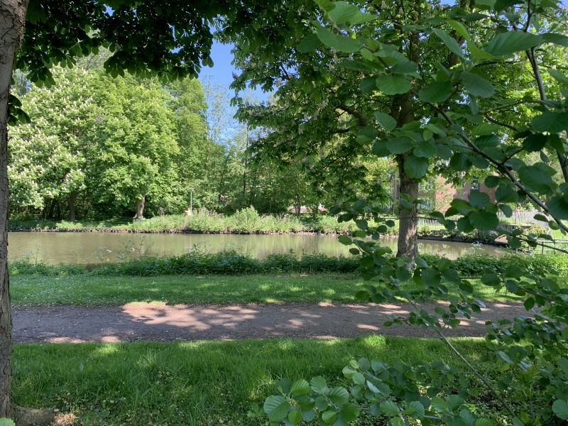 Traumgrundstück mit Blick in die Gateteiche in Nordenham